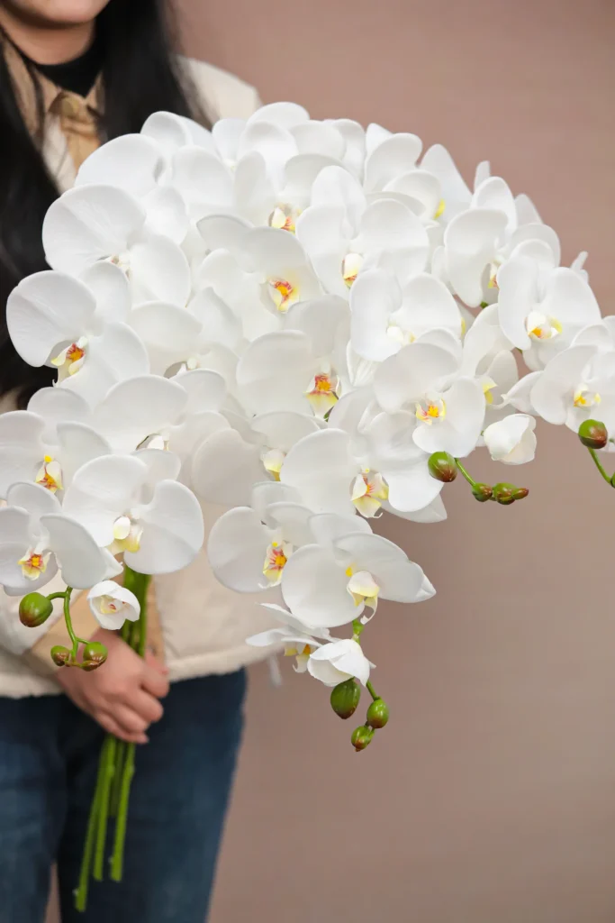 30025003-WT-Artificial-Phalaenopsis-2