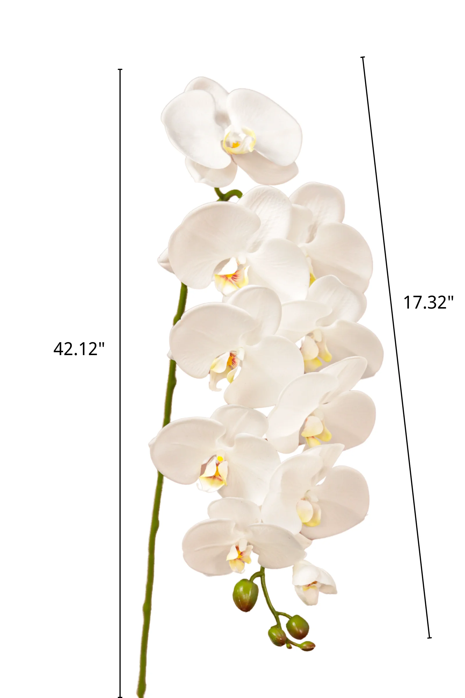 30025003-WT-Artificial-Phalaenopsis-4