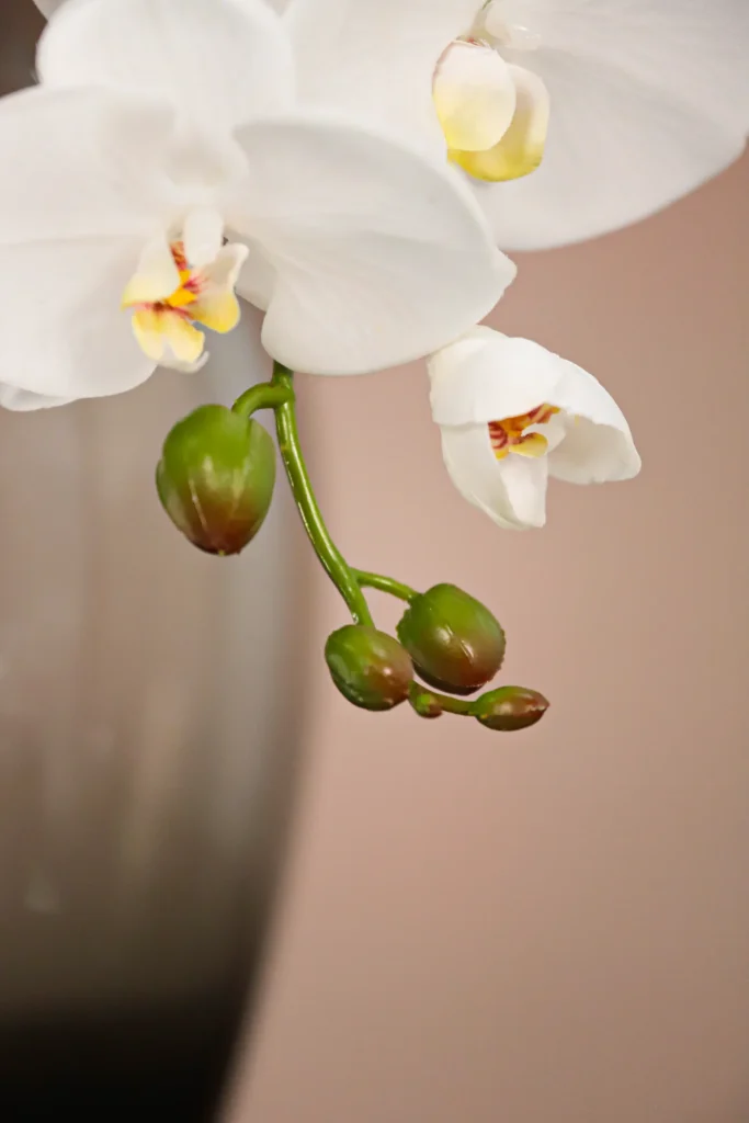 30025003-WT-Artificial-Phalaenopsis-6