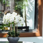 Phalaenopsis-Faux-Orchid-11025001-WT-1