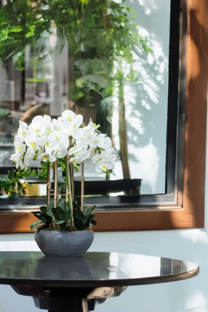 Phalaenopsis-Faux-Orchid-11025001-WT-1