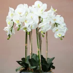 Phalaenopsis-Faux-Orchid-11025001-WT-2