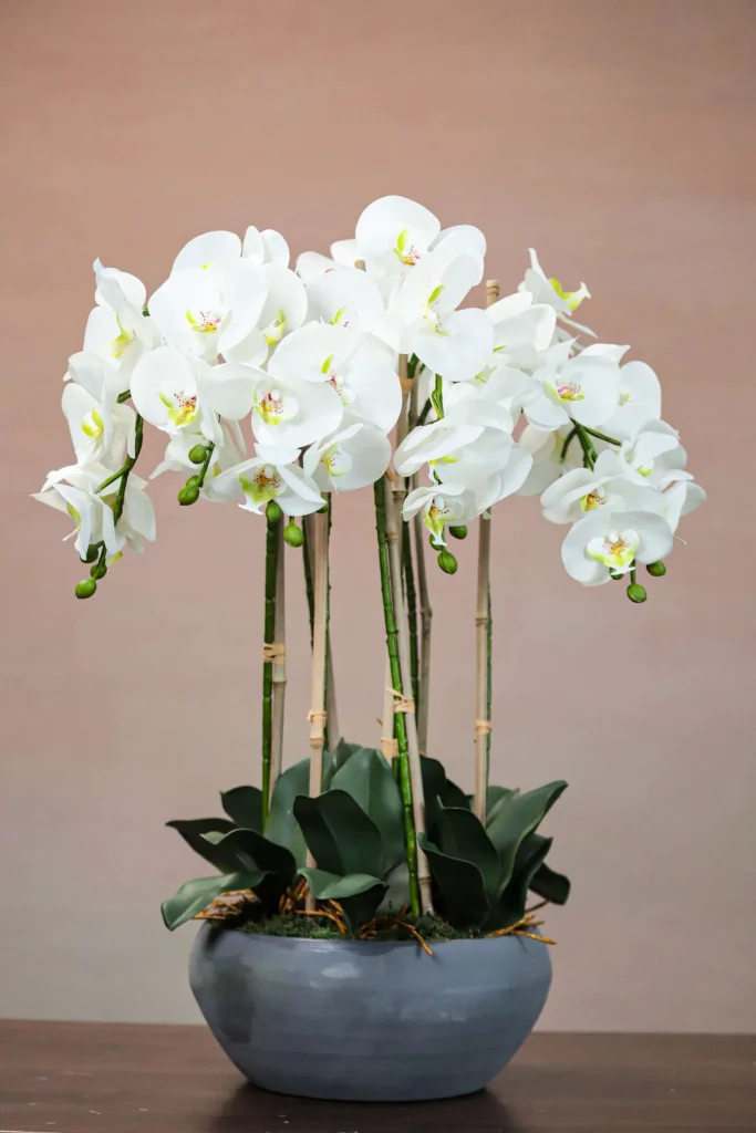 Phalaenopsis-Faux-Orchid-11025001-WT-2