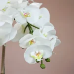Phalaenopsis-Faux-Orchid-11025001-WT-4