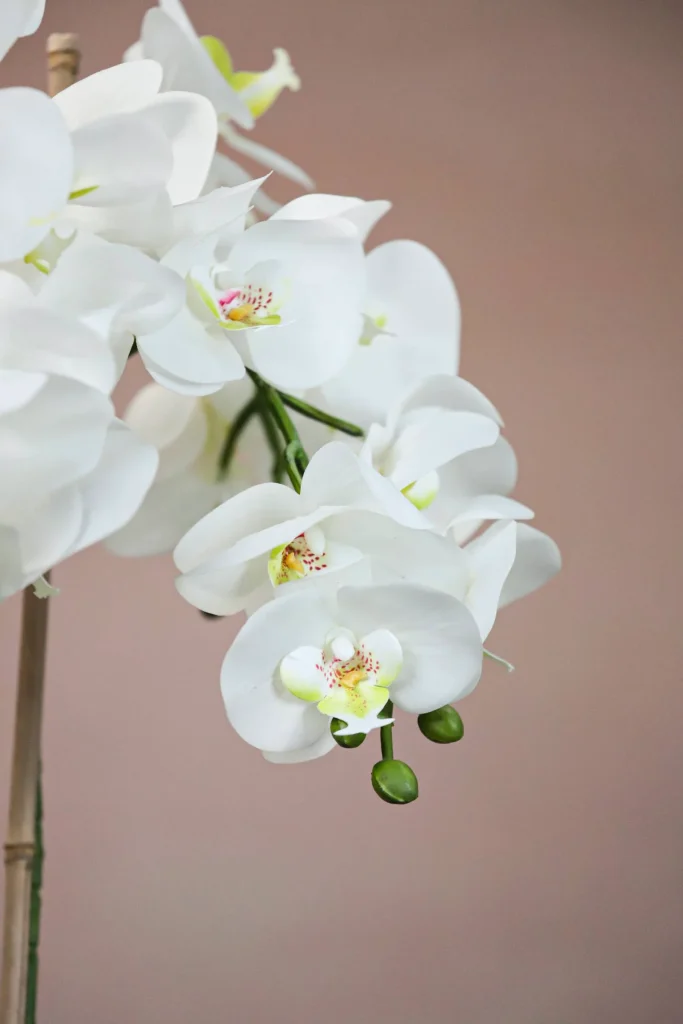 Phalaenopsis-Faux-Orchid-11025001-WT-4