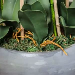 Phalaenopsis-Faux-Orchid-11025001-WT-6