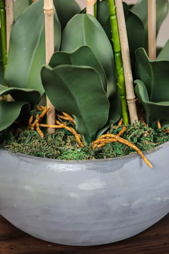 Phalaenopsis-Faux-Orchid-11025001-WT-6